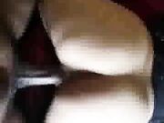 Amateur hot wife interracial orgasm