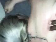 My Slut Wife Getting Fucked By Her Bull in Front of me